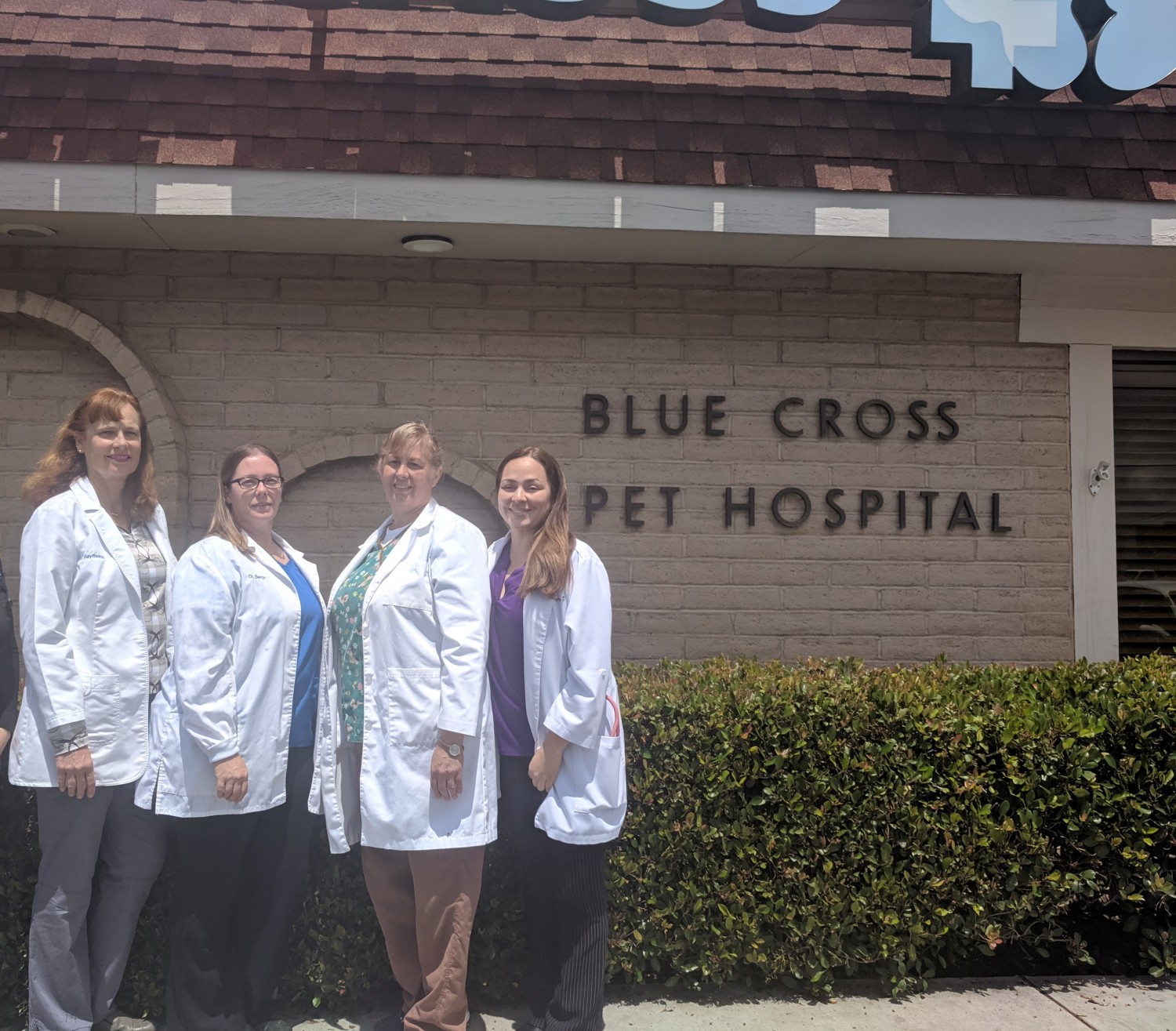 Blue Cross Pet Hospital Small 